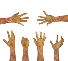 Zombie wounded forearms with palms and fingers isolated on white different positions set