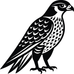 eagle on a white background