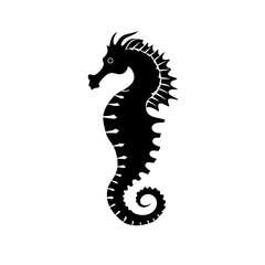 Fototapeta premium a seahorse silhouette