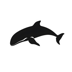 Fototapeta premium whale silhouette