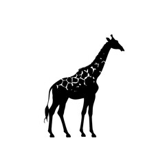 Fototapeta premium giraffe art silhouette