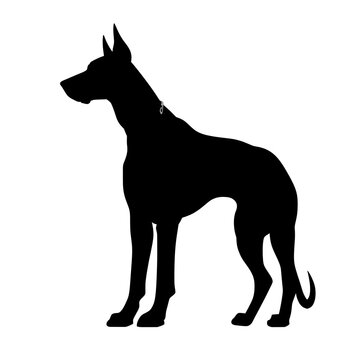 recommend clip art: doberman silhouette