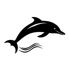 Fototapeta premium a dolphin silhouette
