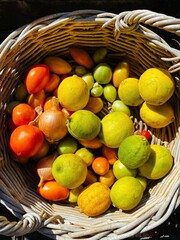 basket of fruits