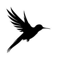 Obraz premium hummingbirds silhouette