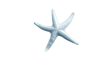 Obraz premium a white starfish on a transparent background, PNG image, PNG file, Generative art.