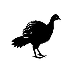 Fototapeta premium turkey silhouette