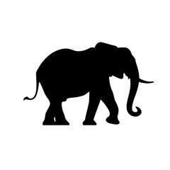 Fototapeta premium elephant silhouette
