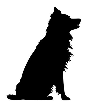 recommend clip art: border collie silhouette