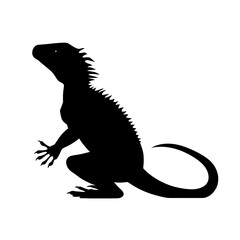 Obraz premium lizard silhouette