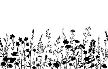 vector illustration of silhouettes background with various wildflowers and delicate plants, seamless from right to left