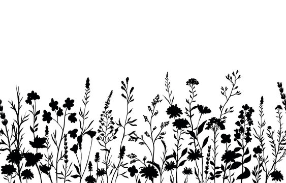 vector illustration of silhouettes background with various wildflowers and delicate plants, seamless from right to left