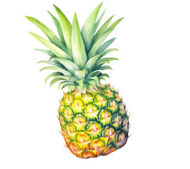 Obraz premium Watercolor pineapple on a transparent background, bright yellow and green shades add freshness and mood.