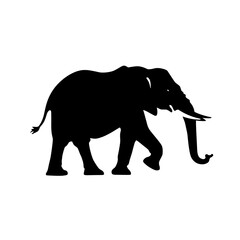 Obraz premium elephant silhouette