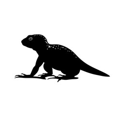 Obraz premium lizard silhouette