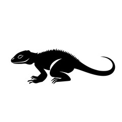 Fototapeta premium lizard silhouette