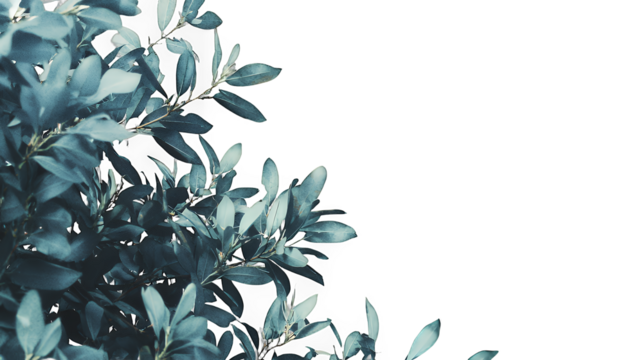 a black and white photo of a bush with blue flowers PNG image, PNG file, Generative art.