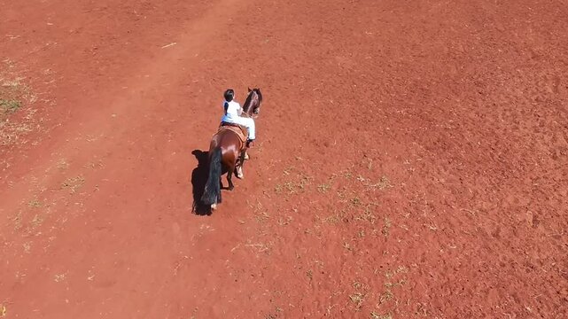 adolescente passeio com  cavalo 