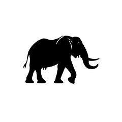 Obraz premium elephant art silhouette