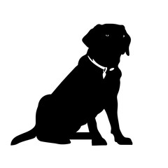 Obraz premium a labrador retriever silhouette