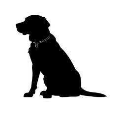 Fototapeta premium black lab dog silhouette
