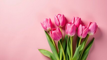 Fototapeta premium A Delicate Bouquet of Pink Tulips on a Soft Pink Background, Perfect for Springtime Celebrations and Festive Greetings