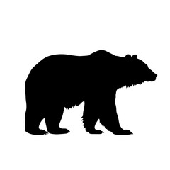Fototapeta premium a polar bear silhouette