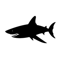Obraz premium shark silhouette