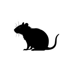 Obraz premium rat silhouette