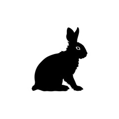 Fototapeta premium bunny silhouette