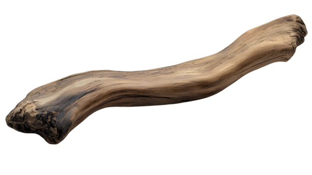 a piece of driftwood that looks like a tree branch PNG image, PNG file, Generative art.
