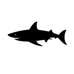 Obraz premium shark silhouette
