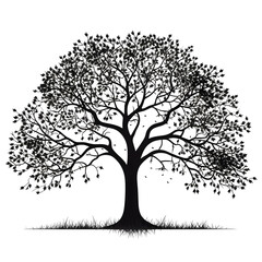 Fototapeta premium clip art tree silhouette