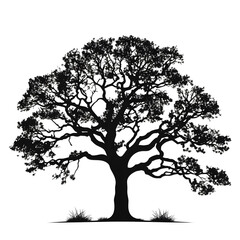 tree oak silhouette
