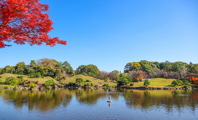 Shinjuku gyoen park tokyo in autumn season