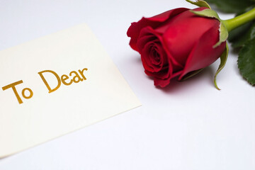 single red rose white card To Dear gold cursive blurred