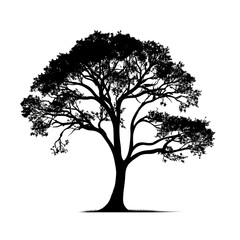 painting tree silhouette