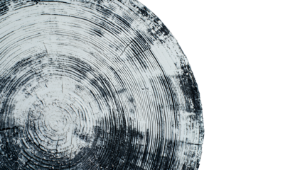 a black and white image of a piece of wood with circular rings PNG image, PNG file, Generative art.