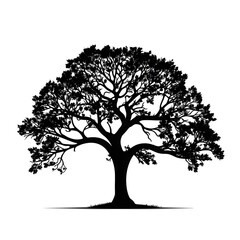 tree png silhouette