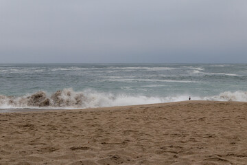 beach with waves of more calm with a background of blue sky seagulls and a summer island 