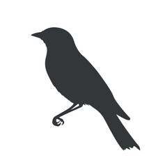 Bird silhouette vector illustration