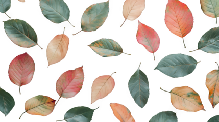 a seamless pattern with leaves of different colors on a transparent background, PNG image, PNG file, Generative art.