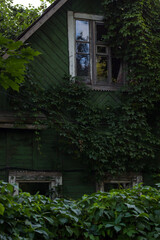 Wooden house overgrown with plants