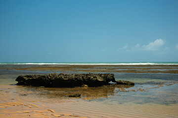 Praia do Forte in the Bahia Brazil