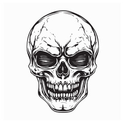 Scary human skull vector illustration isolated on white background.