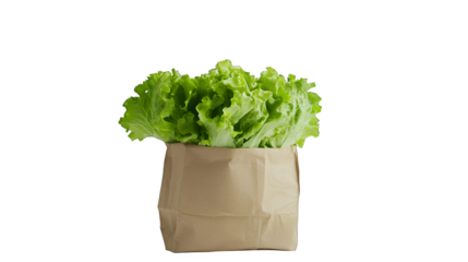 a head of green lettuce in a brown paper bag PNG image, PNG file, Generative art.