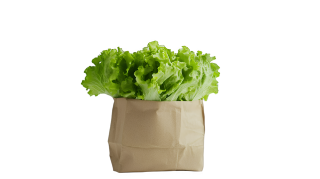 a head of green lettuce in a brown paper bag PNG image, PNG file, Generative art.