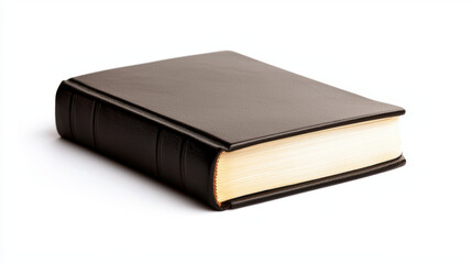 leather covered book with smooth spine and golden edges