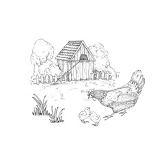 Landscape with a hen, chicks on the background of trees, bushes and a chicken coop. Vector illustration drawn with ink by hand. Sketch scene of a farm. © Anastasiia