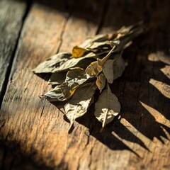 dried bundle of curry leaves used for seasoning, casting a dramatic shadow on a rustic wooden table
